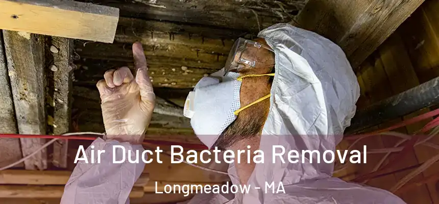  Air Duct Bacteria Removal Longmeadow - MA
