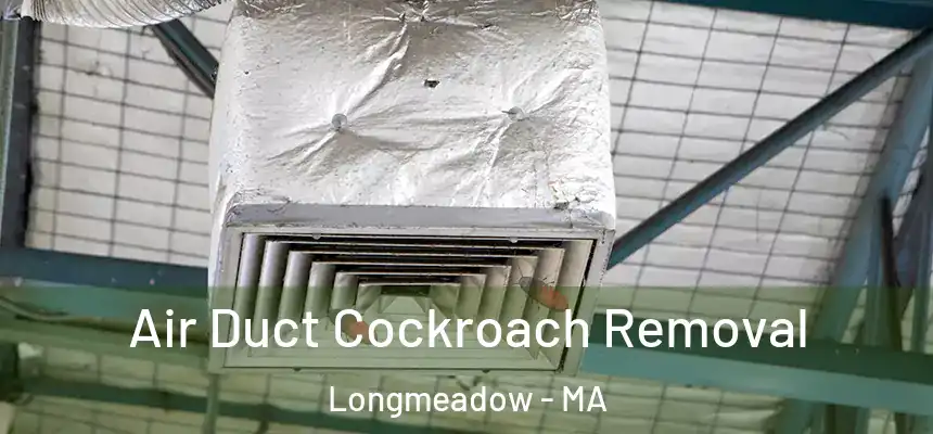 Air Duct Cockroach Removal Longmeadow - MA