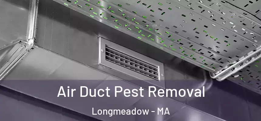  Air Duct Pest Removal Longmeadow - MA