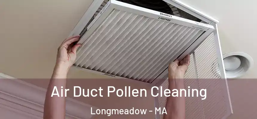  Air Duct Pollen Cleaning Longmeadow - MA