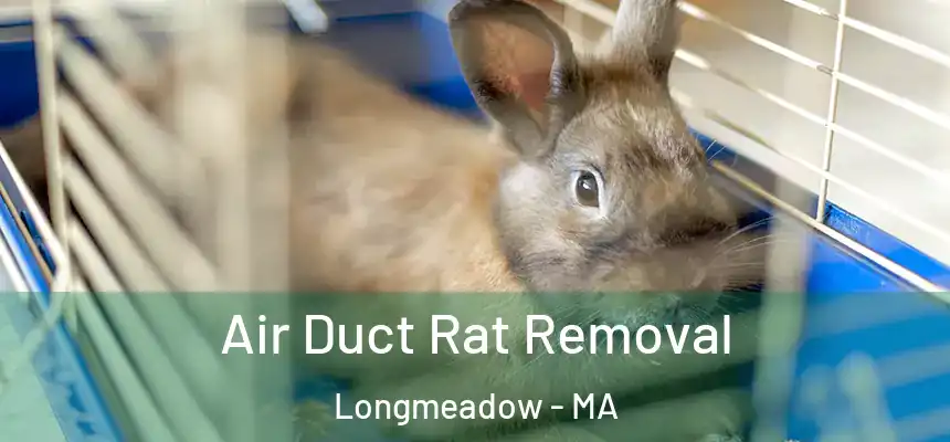  Air Duct Rat Removal Longmeadow - MA