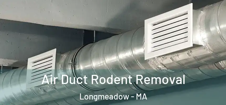Air Duct Rodent Removal Longmeadow - MA
