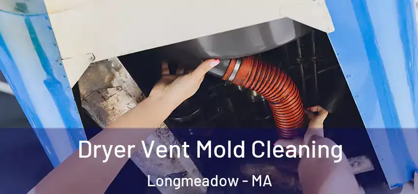 Dryer Vent Mold Cleaning Longmeadow - MA