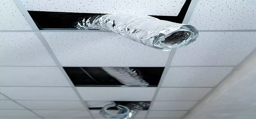 Affordable HVAC Sanitizing After Pest Removal in Longmeadow