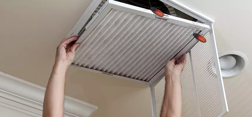 Our Insect Removal from Air Ducts Services in Longmeadow, MA