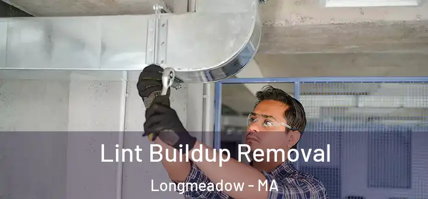 Lint Buildup Removal Longmeadow - MA