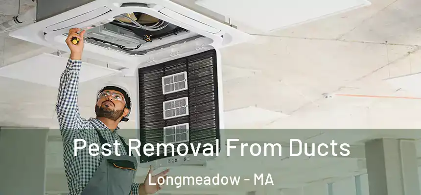 Pest Removal From Ducts Longmeadow - MA