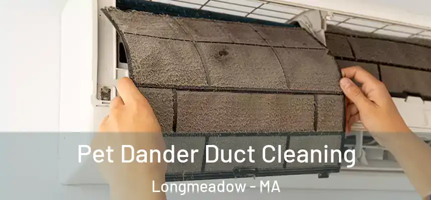 Pet Dander Duct Cleaning Longmeadow - MA