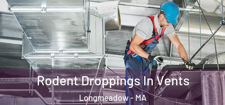 Rodent Droppings In Vents Longmeadow - MA
