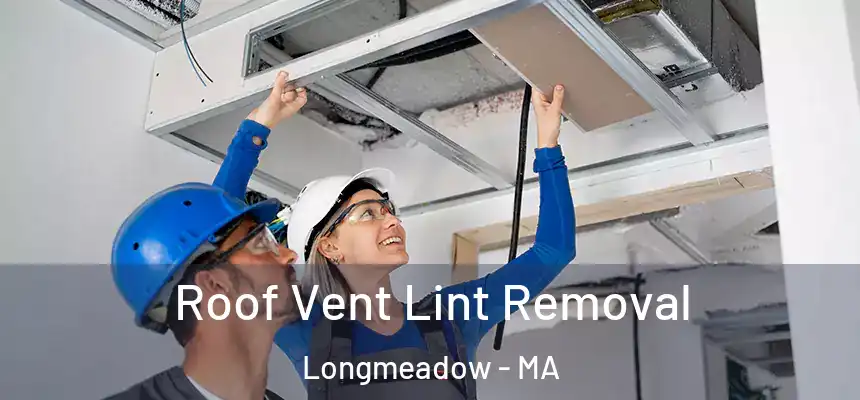 Roof Vent Lint Removal Longmeadow - MA