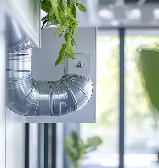 Professional Eco-Safe Dryer Vent Cleaning in Longmeadow, MA