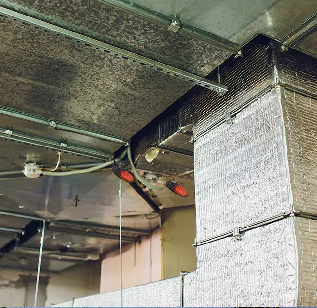 Why Homeowners & Businesses Trust Us in Longmeadow, MA?