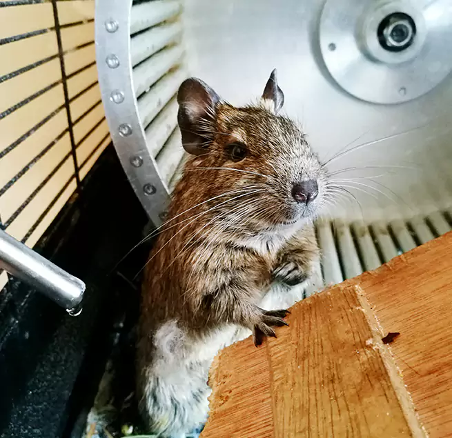 Why Homeowners & Businesses Trust Us Longmeadow, MA