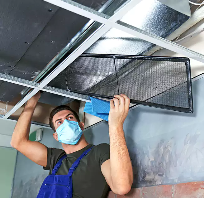 Why Homeowners Businesses Trust Us in Longmeadow, MA