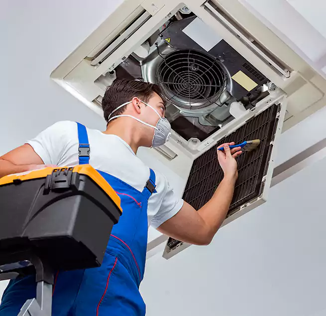 Why Homeowners & Businesses Trust Us in Longmeadow, MA