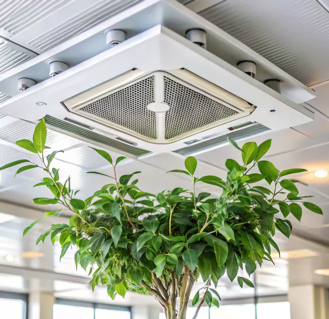 Why Homeowners & Businesses Trust Us in Longmeadow, MA?