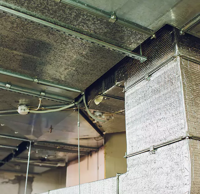 Why Homeowners & Businesses Trust Us in Longmeadow, MA?